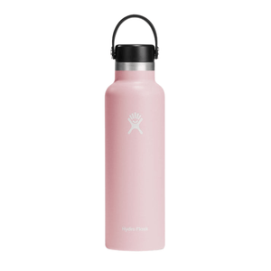 Standard Mouth Vacuum Insulated Bottle, 620 ML