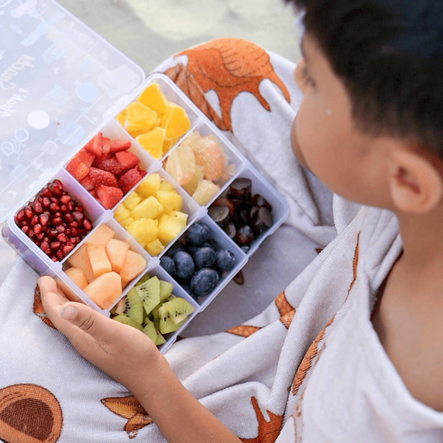 9-Compartment Snack Box